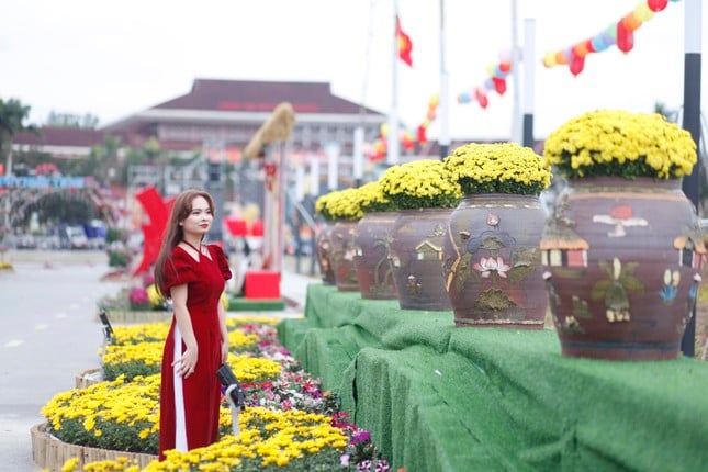 The vibrant spring flower street in Bac Ninh (photo 8)