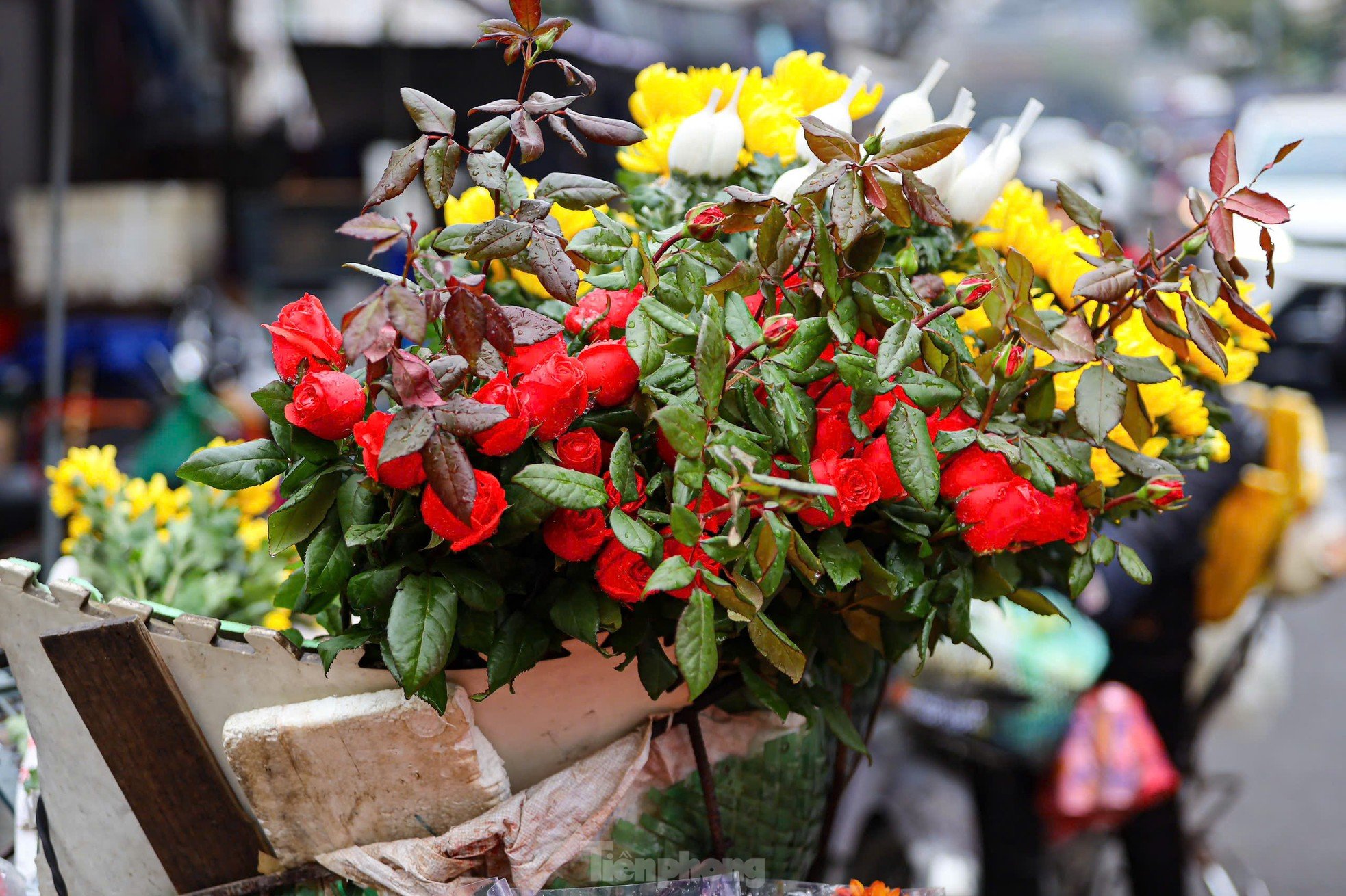 Die Einwohner von Hanoi geben am Morgen des 29. Tet-Festes eine halbe Million Dong aus, um auf dem „Markt der Reichen“ Hühner mit Rosen im Maul zu kaufen. Foto 15