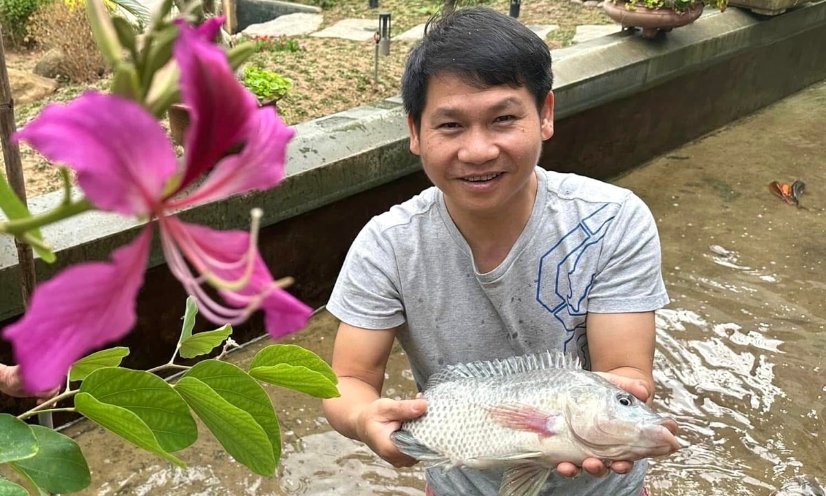 トロン・タンさんは魚を捕まえてバインチュンを包んで旧正月を祝う