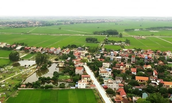 Inmediatamente después del Año Nuevo Lunar, la provincia fronteriza con Hanoi subastó 305 parcelas de tierra.