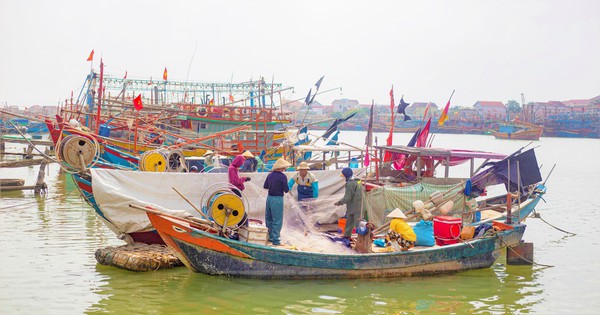 Going to sea for 1 night to earn hundreds of millions of dong, fishermen "make a fortune" right before Tet