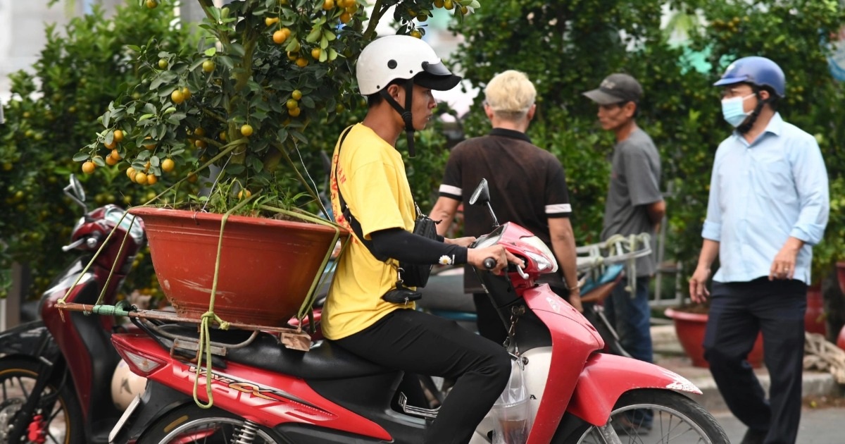 "Caring Tet" gana millones cada día en la ciudad de Ho Chi Minh