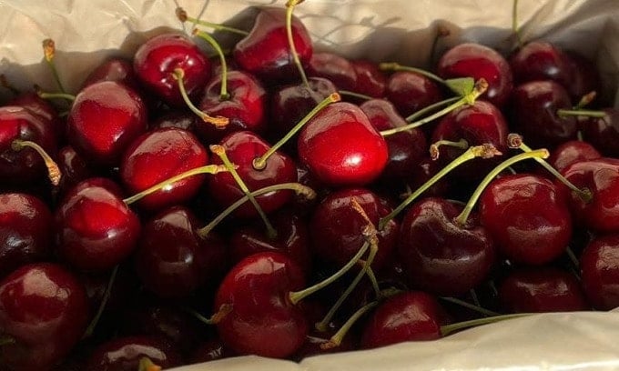 Cherry NewZealand được nhập về Việt Nam. Ảnh: Thanh Yến