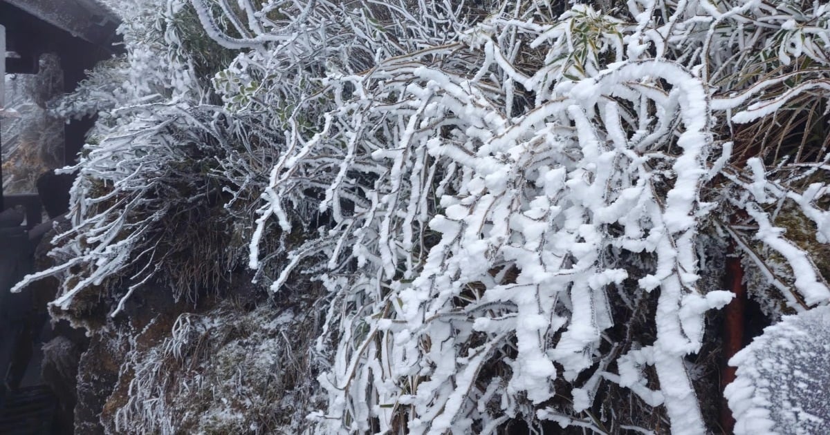 Schnee bedeckt den Gipfel des Fansipan, ein Spaziergang über die Glasbrücke ist wie Schlittschuhlaufen