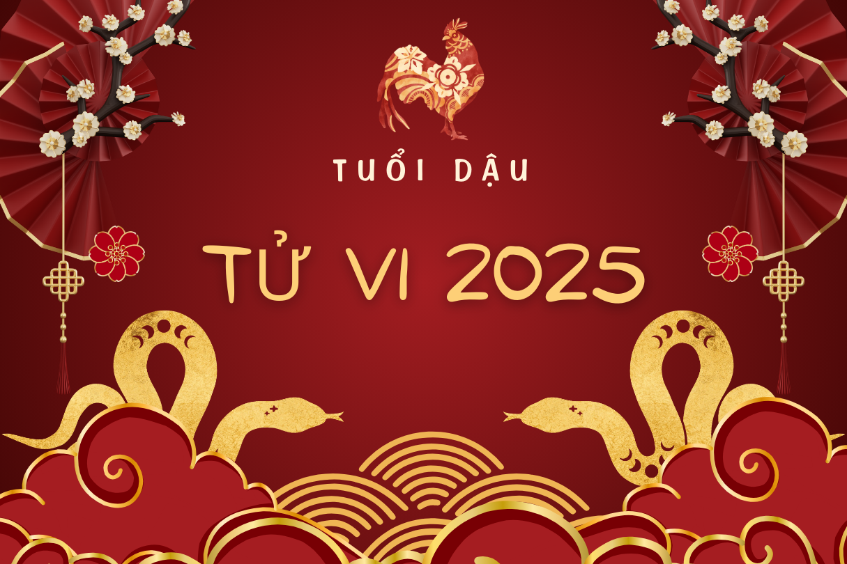 tu-vi-nam-2025-tuoi-dau.png