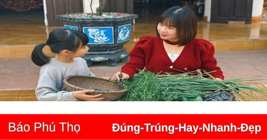 Thơm hương bồ kết