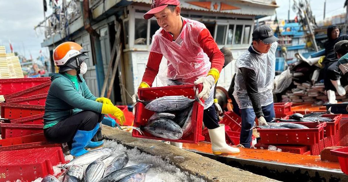 Rückkehr zum robusten Fischerhafen am Vorabend des Tet-Festes