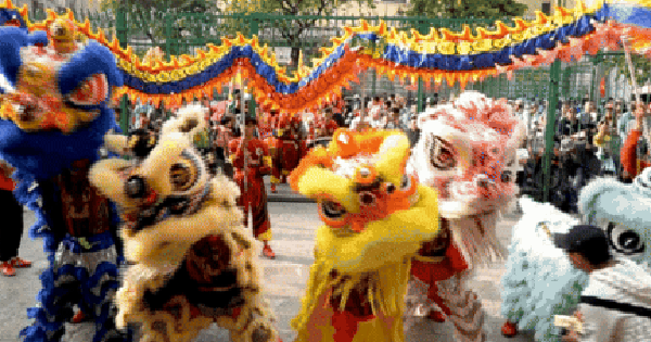 Vea la danza del león "abriendo los ojos" durante la festividad del Tet en Cho Lon