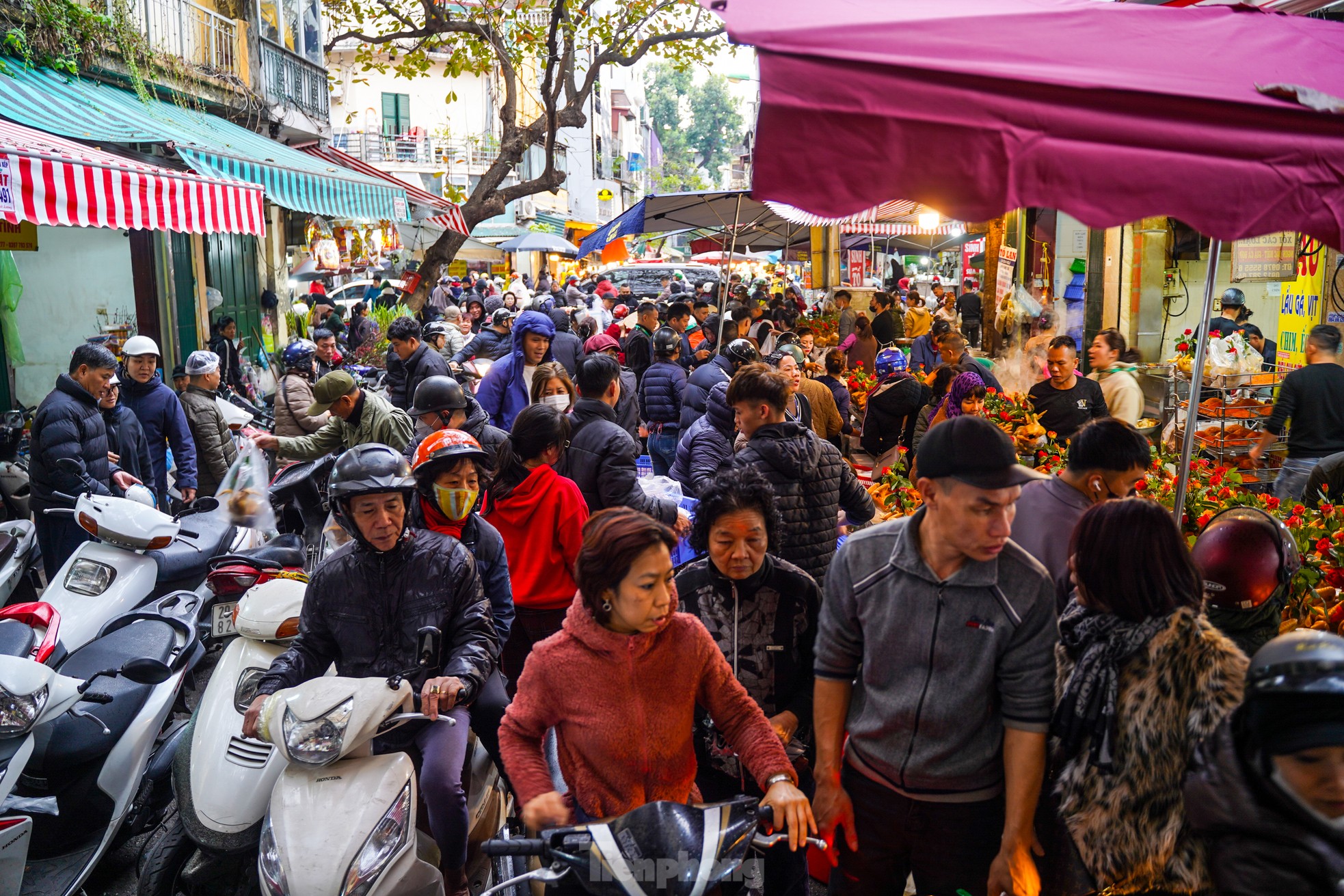 Die Einwohner von Hanoi geben am Morgen des 29. Tet-Festes eine halbe Million Dong aus, um auf dem „Markt der Reichen“ Hühner mit Rosen im Maul zu kaufen. Foto 1