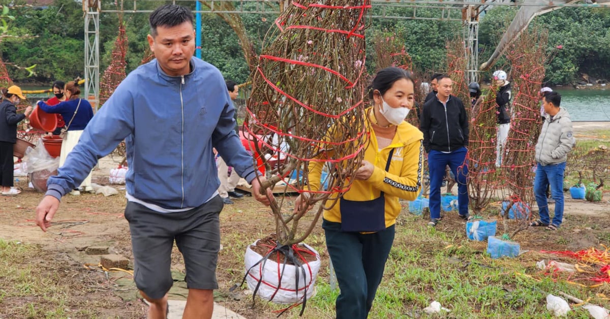 ដល់ចុងឆ្នាំ ទោះបីផ្ទះមានផ្កាគ្រប់គ្រាន់ក៏ដោយ ក៏ខ្ញុំនៅតែទៅផ្សារទិញផ្កាបន្ថែមទៀត ព្រោះអាណិតអ្នកលក់ផ្កាដែលលក់ផ្កាមិនគ្រប់គ្រាន់សម្រាប់តេត។