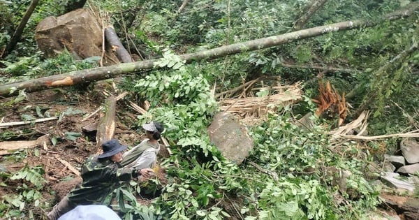 2 días antes del Tet, Quang Nam y Kon Tum tuvieron 9 terremotos