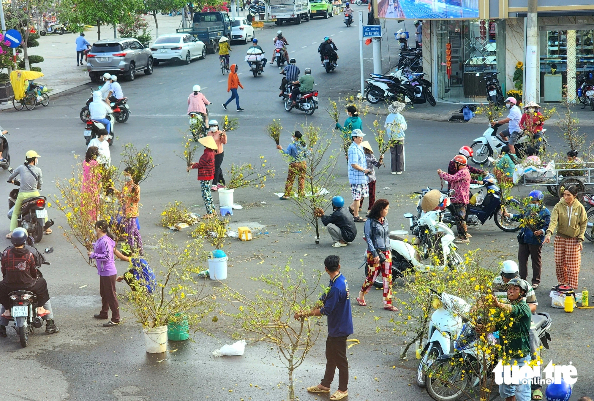 Chợ nhánh mai vàng ở An Giang nơi kẻ bán người mua đều hoan hỉ - Ảnh 6.