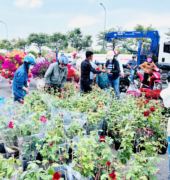 Hối hả chợ hoa ngày cuối năm