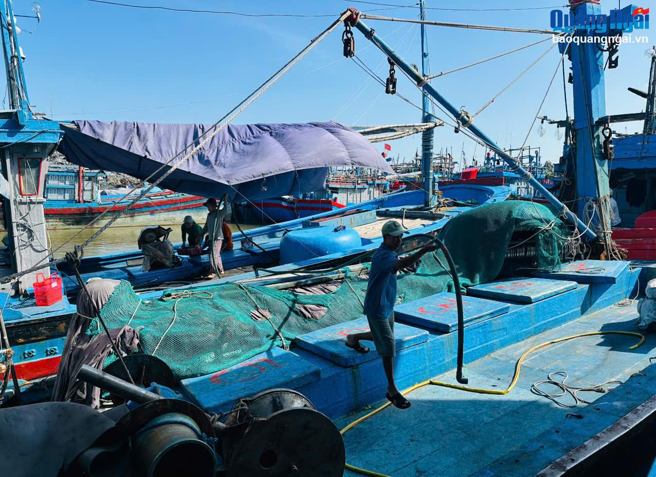 El barco pesquero del pescador Huynh Van Dinh, de la comuna de Pho An (ciudad de Duc Pho), se prepara para salir del puerto en la tarde del 19 de enero, para salir al mar durante el Tet.