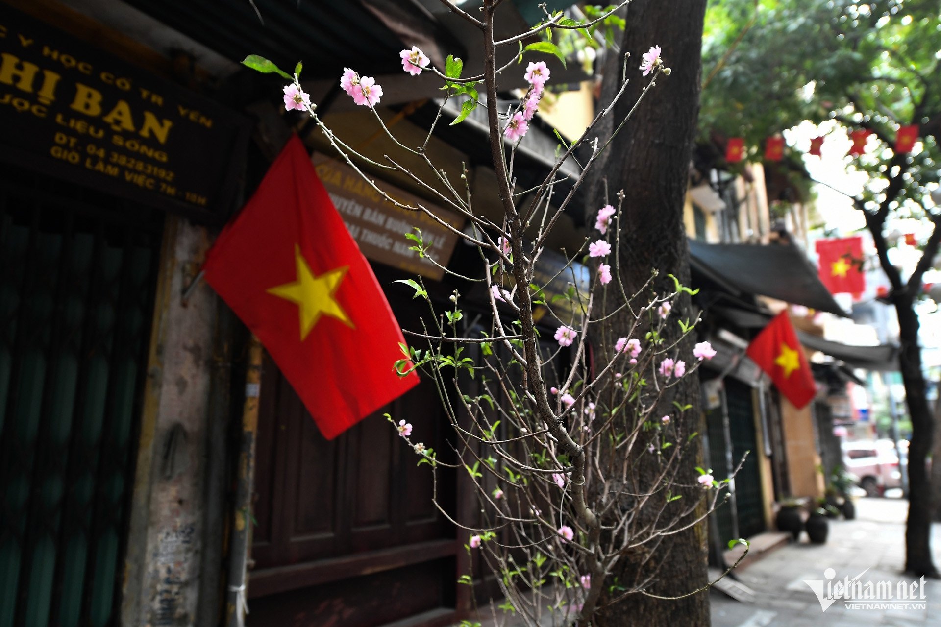 El casco antiguo de Hanoi y los rincones de registro sorprendentemente hermosos en la primera mañana del Tet