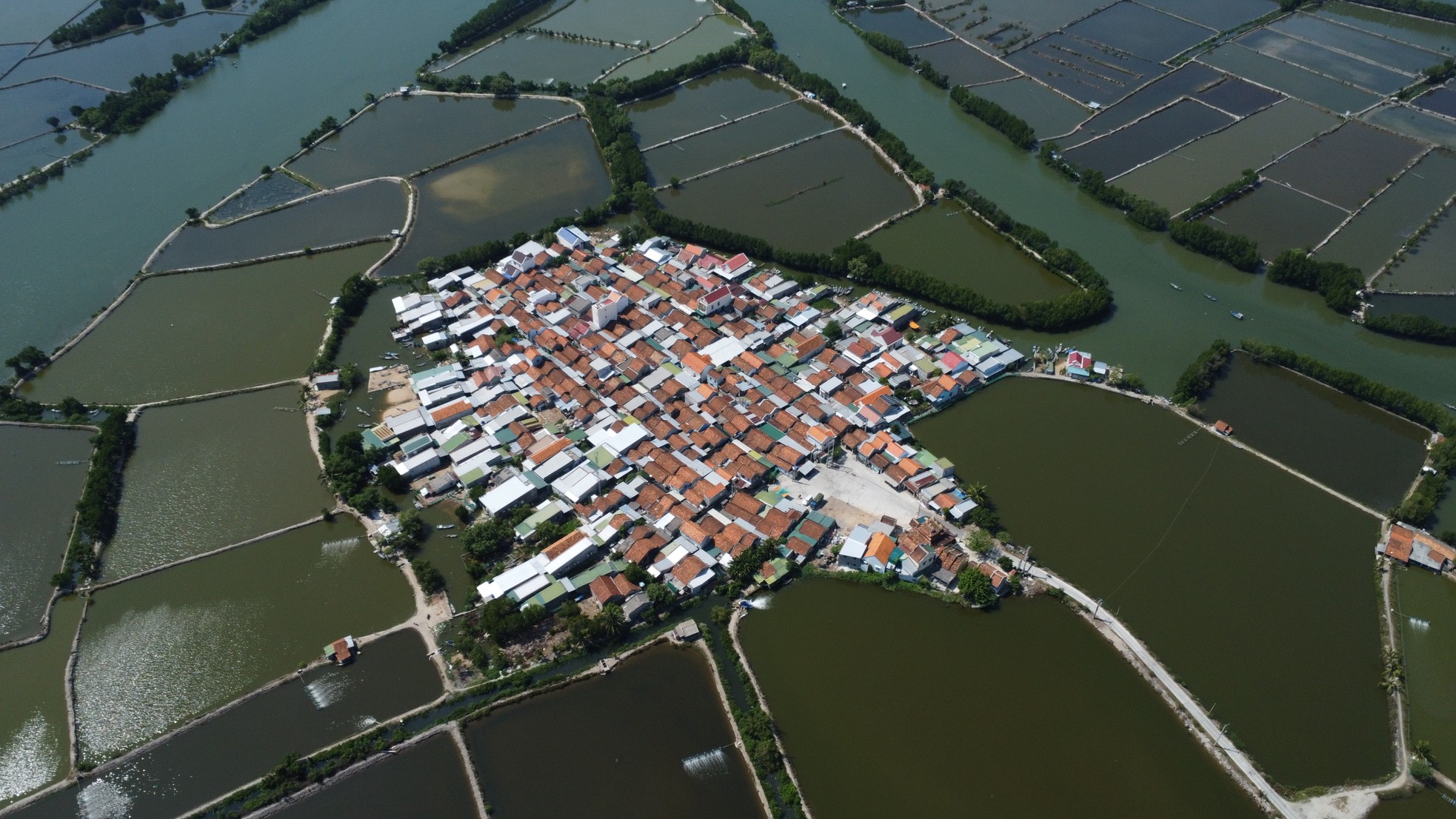 Pueblo único de 370 años de antigüedad en medio de la laguna de Nha Phu foto 3