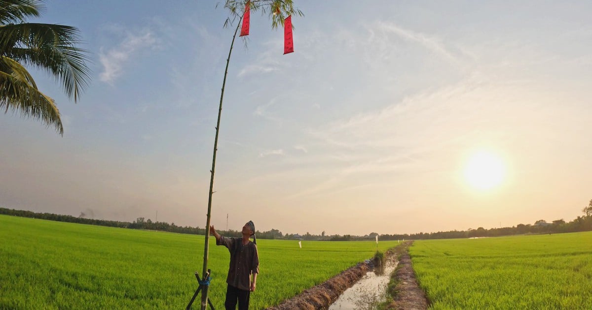 More than 50 years of keeping the custom of erecting a pole on Tet holiday