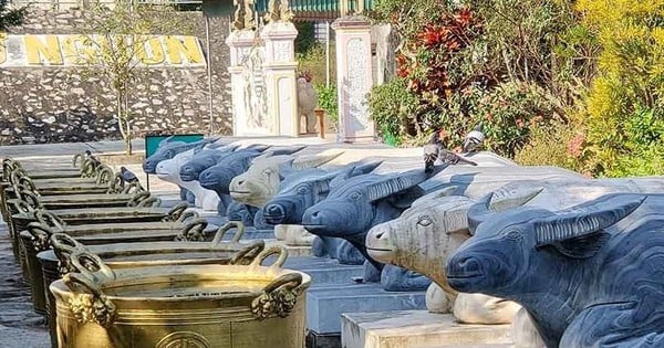 Unique festival of the temple of 9 kneeling buffaloes