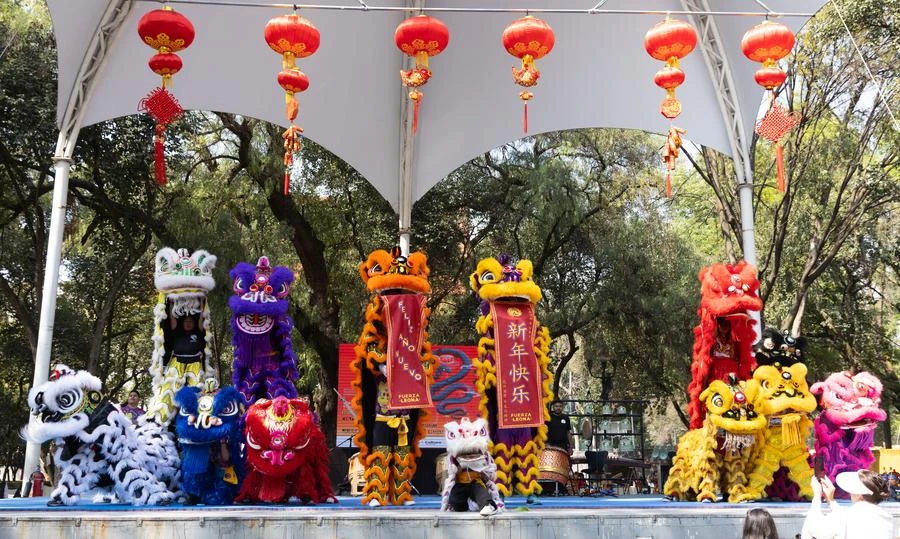 [Photo] Celebrating Lunar New Year 2025 in many places around the world photo 10