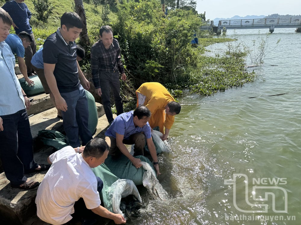 Every year, the Department of Animal Husbandry, Veterinary and Fisheries of the province releases fish in large lakes in the province to create aquatic resources.