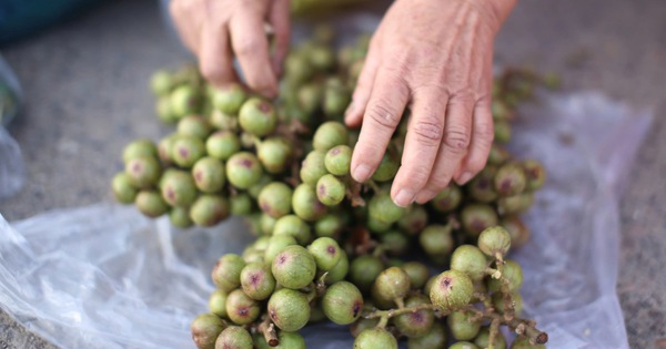 The "unique, strange" market in Binh Dinh, only meets once a year on the first day of Tet, what does the market sell?