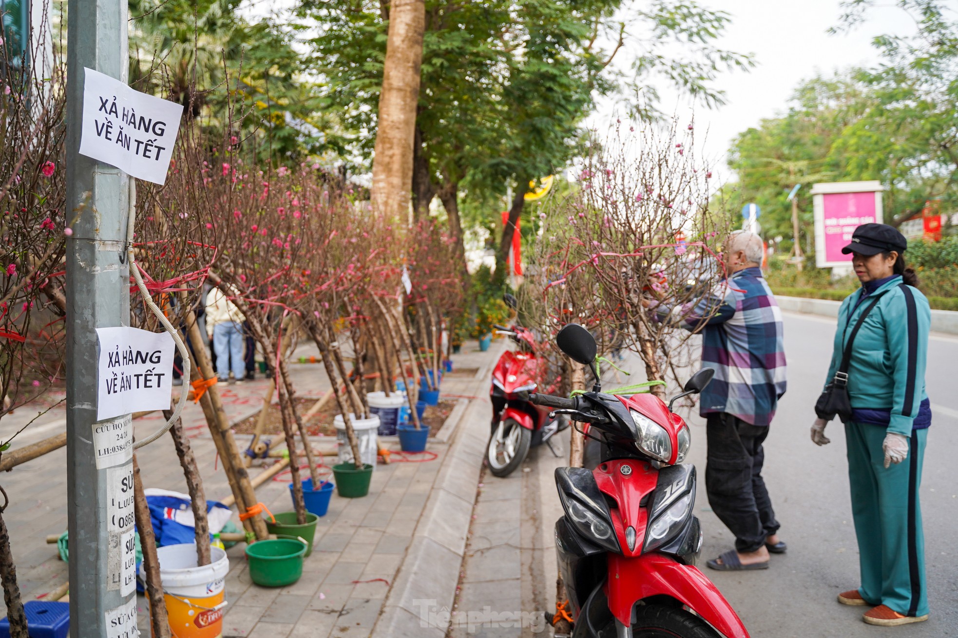 Hà Nội: Tiểu thương chặt bỏ đào ế trước khi rời chợ về quê ăn Tết ảnh 5