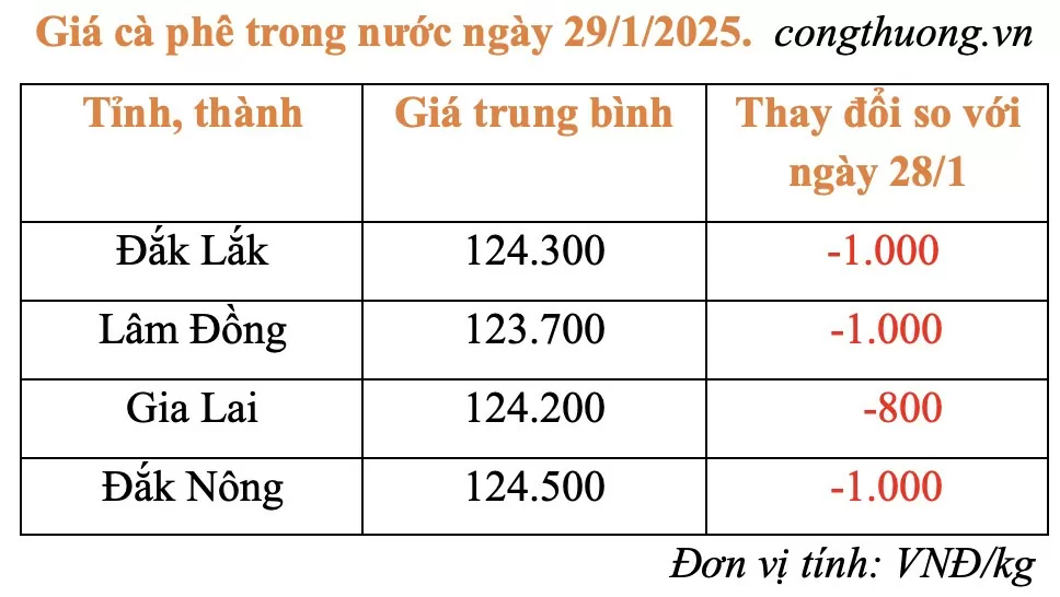 Giá cà phê hôm nay 29/1/2025: