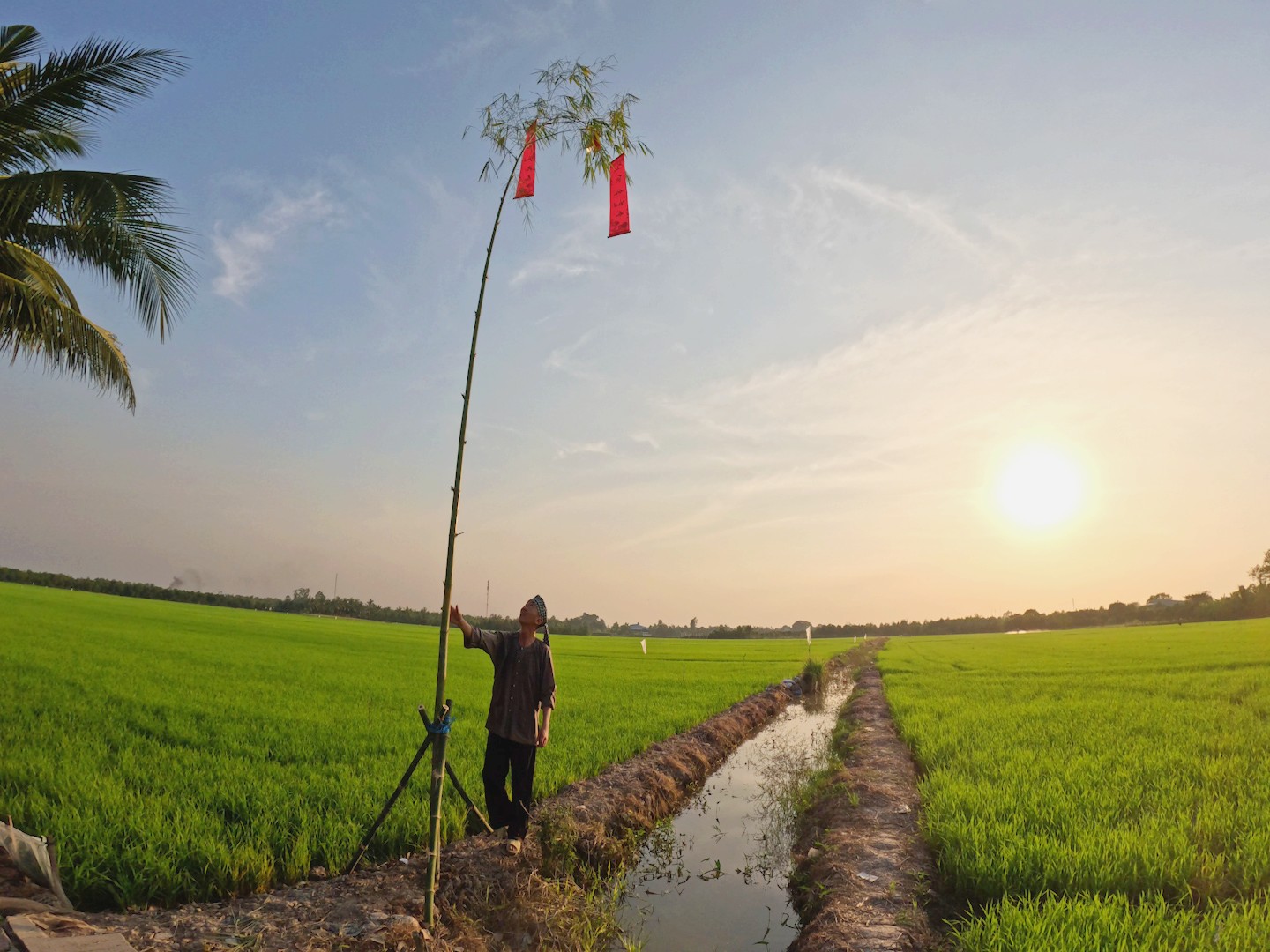 Hơn 50 năm giữ phong tục dựng cây nêu ngày tết- Ảnh 2.