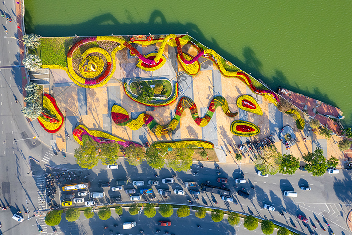 Panoramic view of Da Nang Spring Flower Street from above