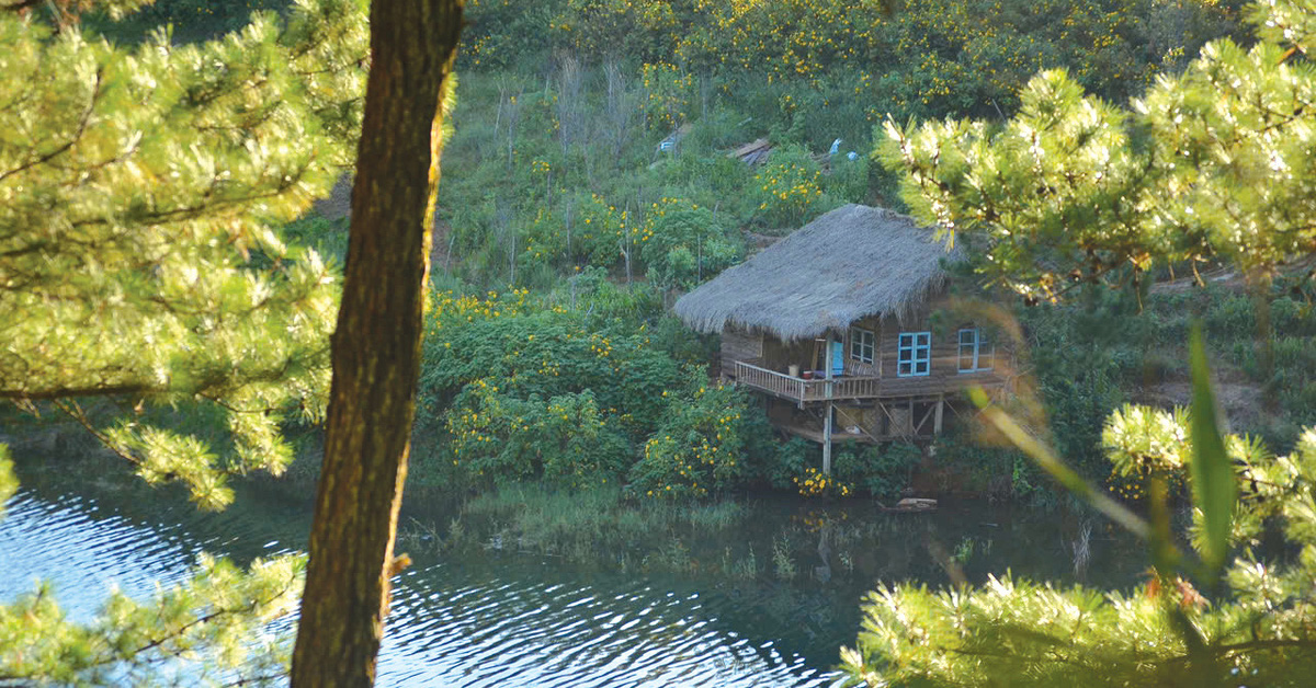 INDIgo home poetic architecture in the middle of Ngoc Linh forest