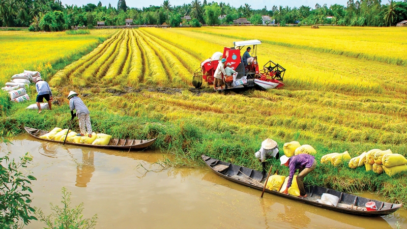 Mang Thít: Nỗ lực, quyết tâm, tận dụng và khai thác tiềm năng, lợi thế tạo động lực cho phát triển