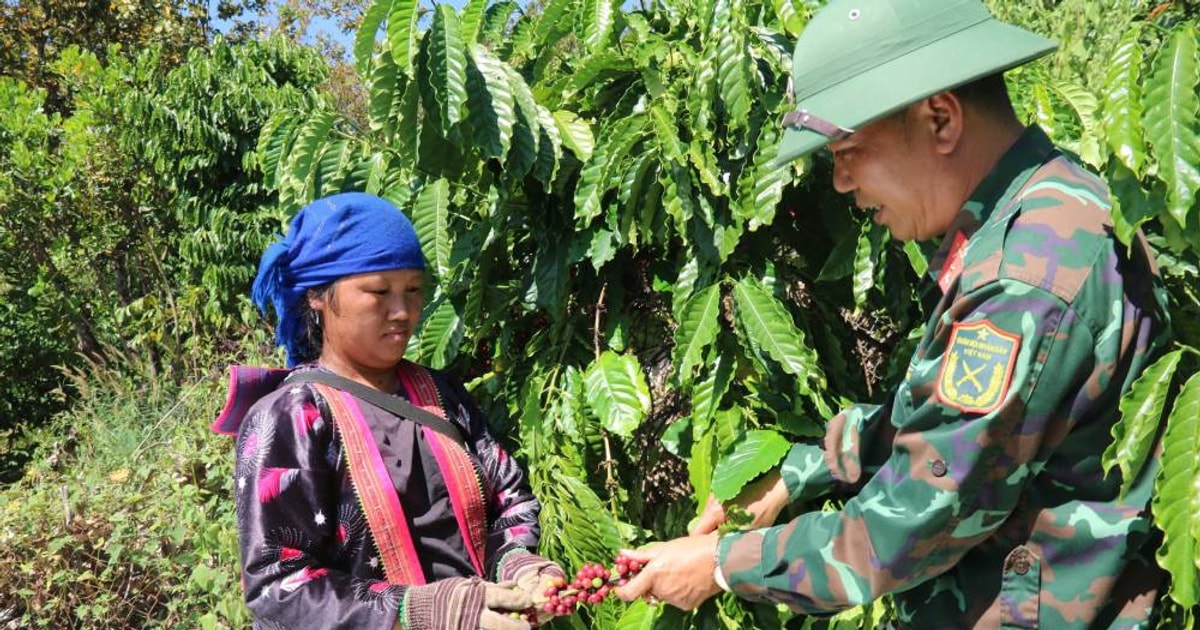 Cà phê tăng, chiếm khoảng 28% tổng kim ngạch...