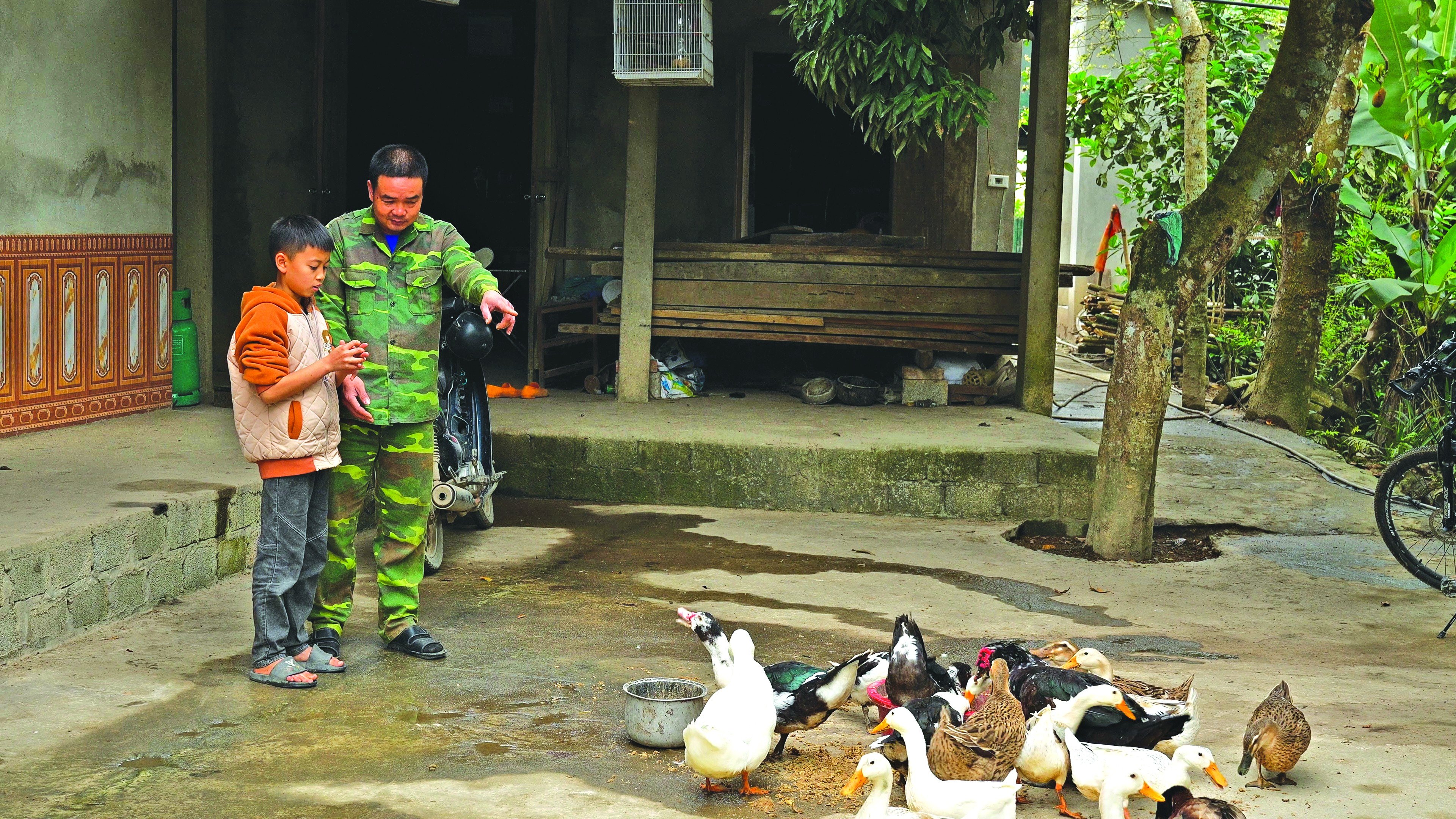 Đàn vịt do gia đình anh L.V. Hà phát triển từ hỗ trợ của WVIV. (Ảnh: WVIV)