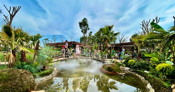 Los clientes de una cafetería se sienten abrumados porque se sienten perdidos en medio de un bosque primigenio.