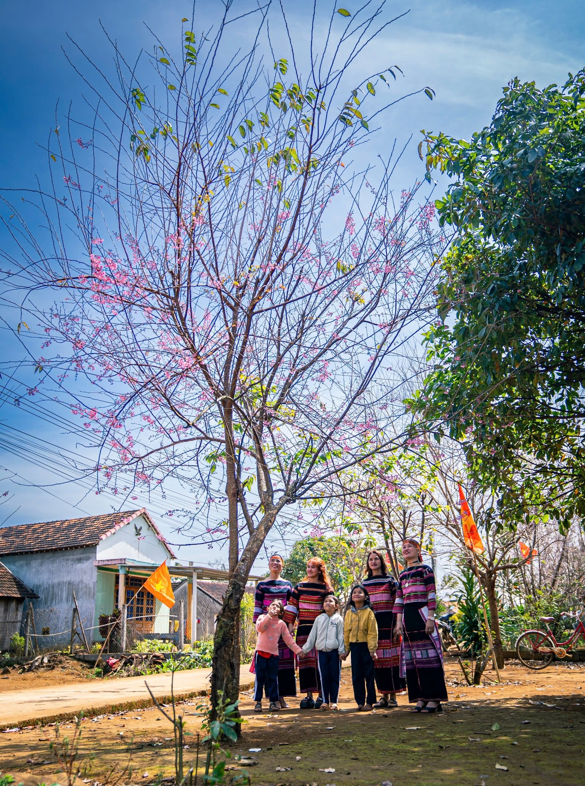 Hoa đào nở la liệt, cản chả kịp, cả làng ở Bình Định cảnh đẹp như phim, cứ như đi giữa Đà Lạt- Ảnh 4.