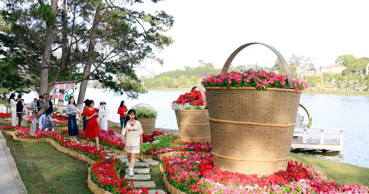 [Photo] Spring outing in the cold sun of Da Lat