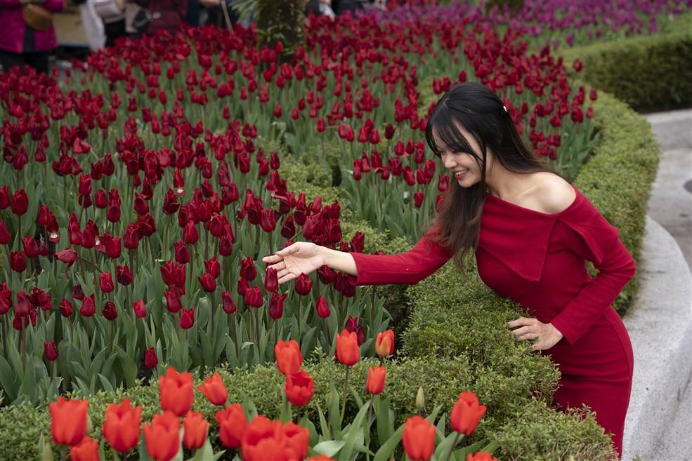 Des milliers de touristes viennent à Sun World Ba Na Hills pour un voyage de printemps au début de 2025 - Photo 3.