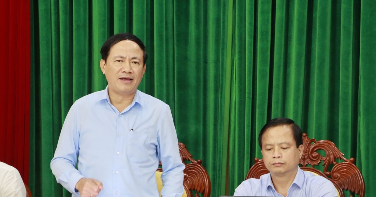 Binh Dinh attracts investment in 11 projects in the first month of 2025