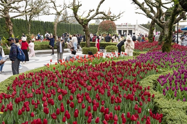 Des milliers de touristes viennent à Sun World Ba Na Hills pour un voyage de printemps au début de 2025 - Photo 2.