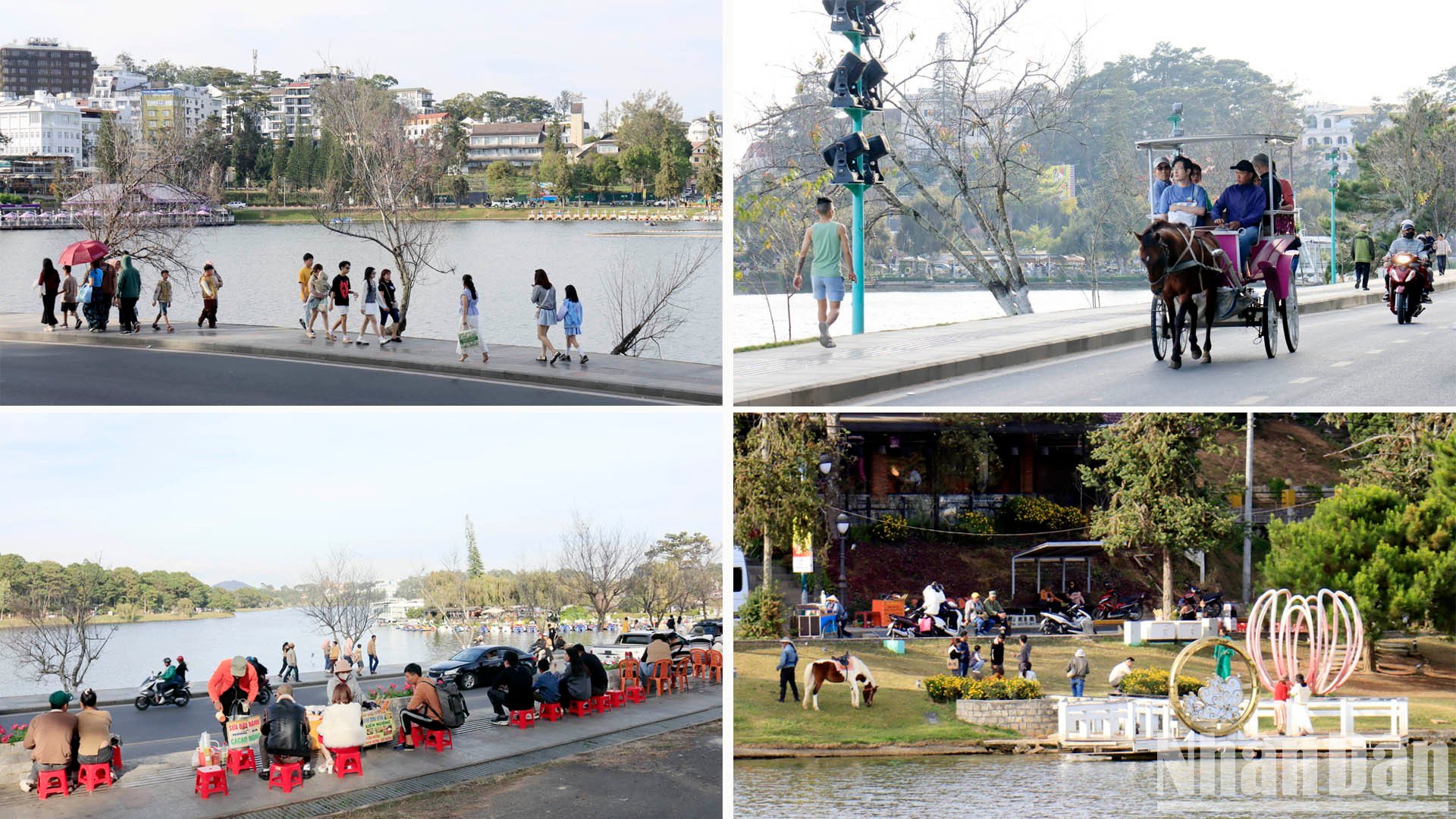 [Photo] Spring outing in the cold sun of Da Lat photo 10