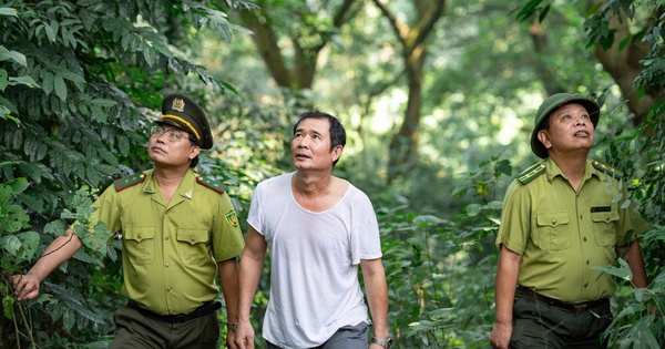 The hundred-year-old green lim forest is the "treasure" of the whole village in Phu Tho