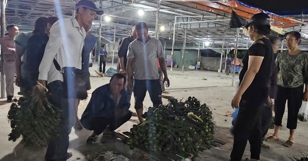 Marché unique ouvert seulement une heure le soir