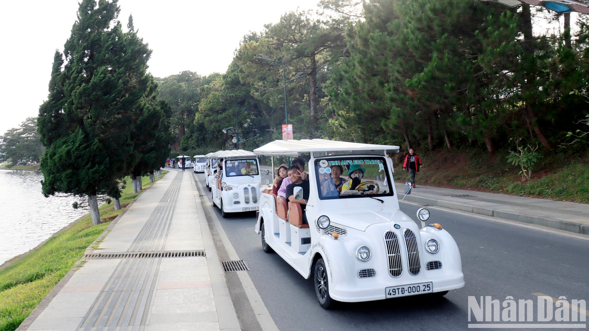 [Photo] Spring outing in the cold sun of Da Lat photo 7