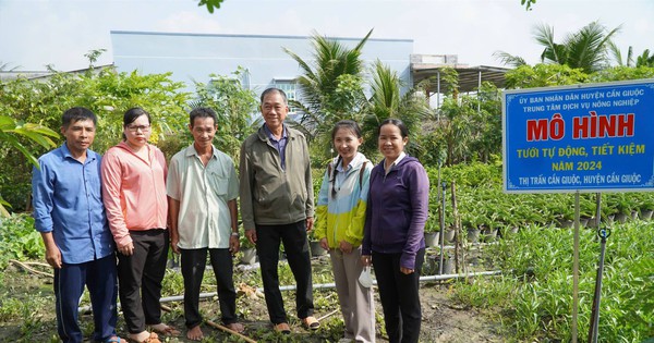 Long An simultaneously deploys 16 models of automatic watering to save money and greenhouses to grow clean, green vegetables.