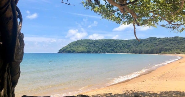 La playa que cautiva a mucha gente en Con Dao