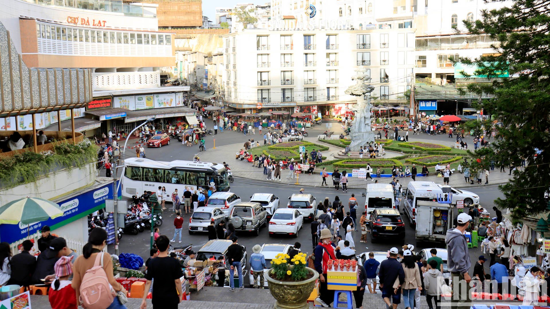 [Photo] Spring outing in the cold sun of Da Lat photo 3