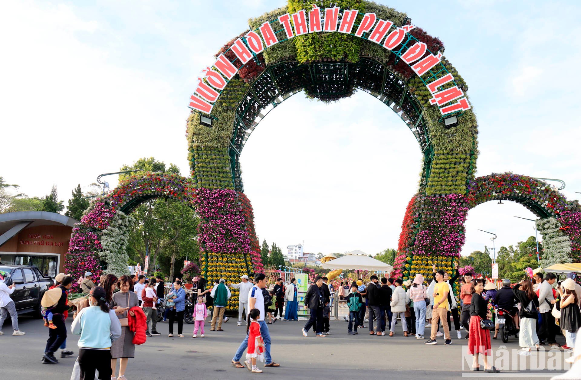 [Photo] Spring outing in the cold sun of Da Lat photo 9