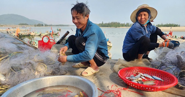 ハティン漁師たちは年明けに海に出航し、新鮮なエビやムール貝で大儲けし、数百万ドルを手にする