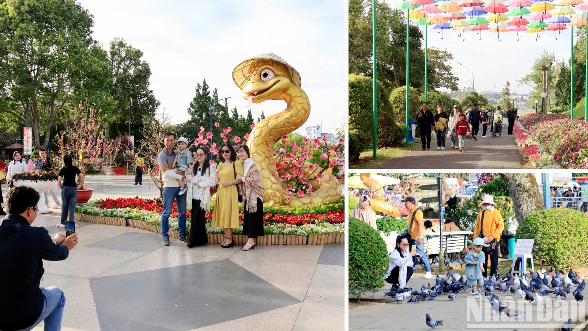 [Photo] Spring outing in the cold sun of Da Lat photo 8