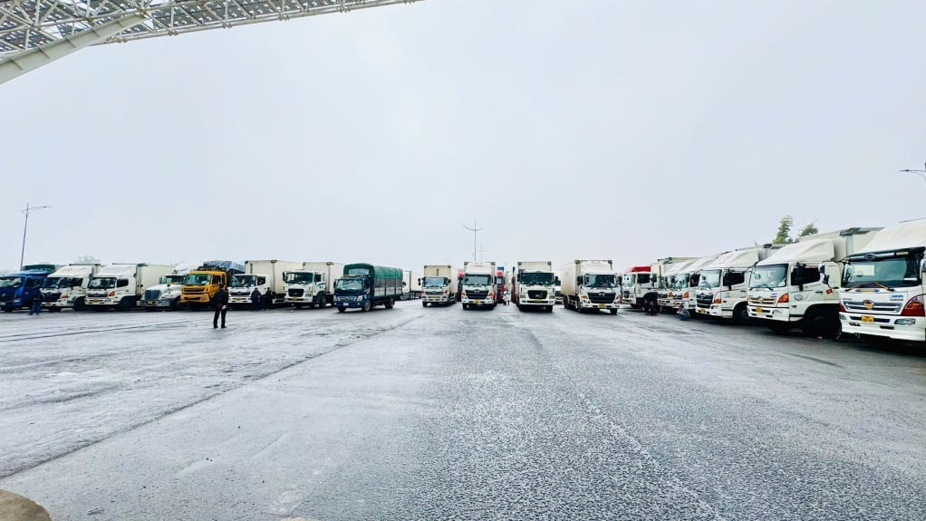 Am ersten Tag der Wiederaufnahme des Zollabfertigungsbetriebs wurden am Grenzübergang Bac Luan II 22 Unternehmen zur Warenabfertigung empfangen. Foto: Manh Truong